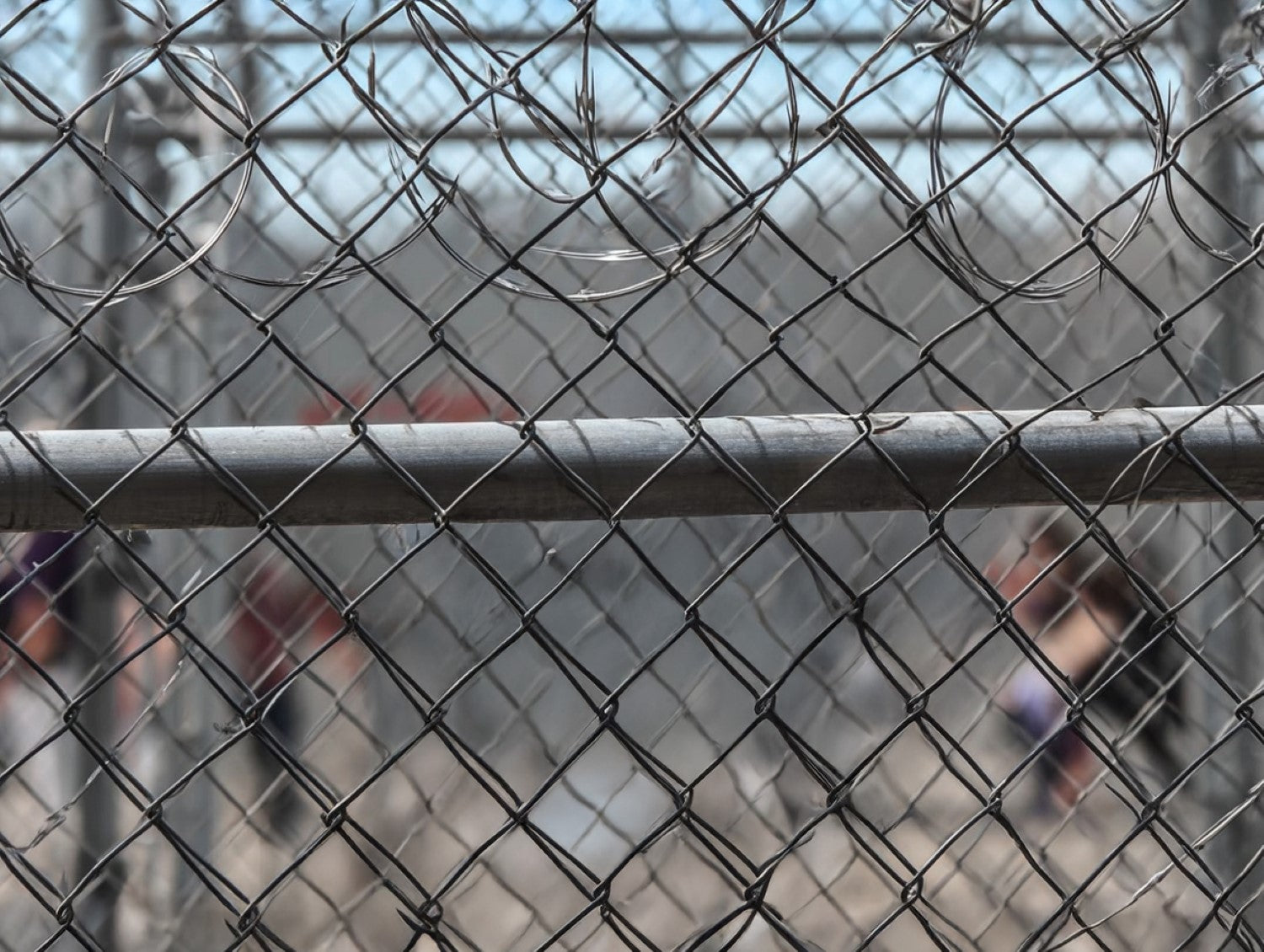 07 Migration and the Automated Pattern of Rejection